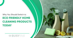 Why You Should Switch to Eco Friendly Home Cleaning Products Today