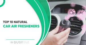 Top 10 Natural Car Air Fresheners for a Chemical-Free Ride