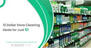 10 Must-Have Dollar Store Cleaning Products You Can Buy for $1